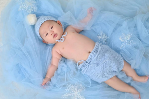 内江宝宝树怎么样 内江宝宝树怎么样